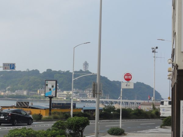 湿度めちゃ高