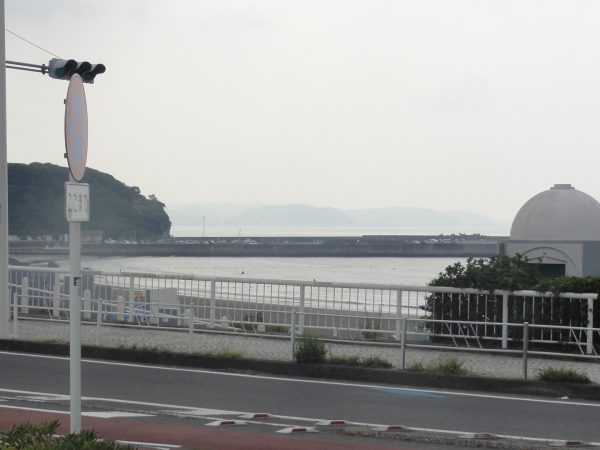 湿度めちゃ高