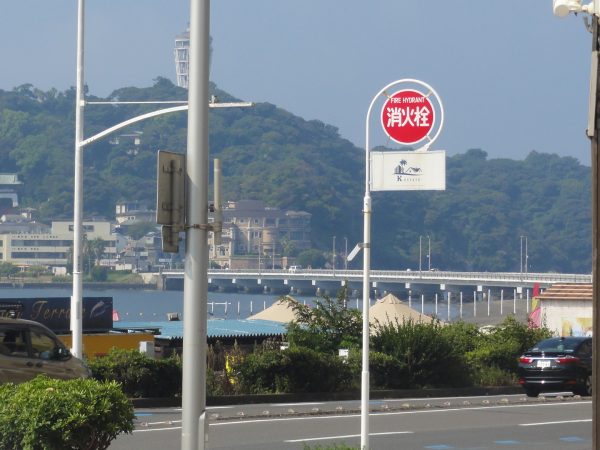 めっきり静かになりました。