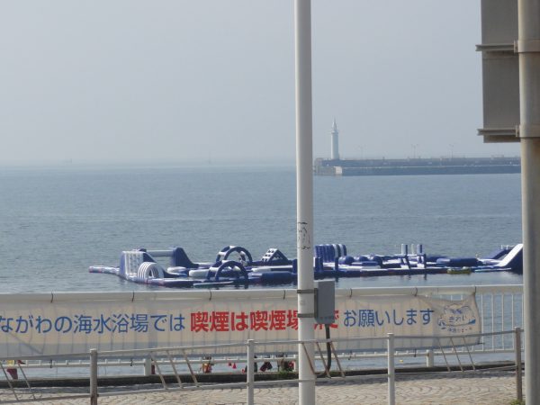 めっきり静かになりました。