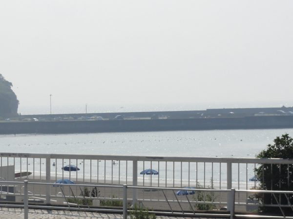 めっきり静かになりました。