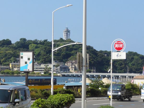 朝から吹いてます。