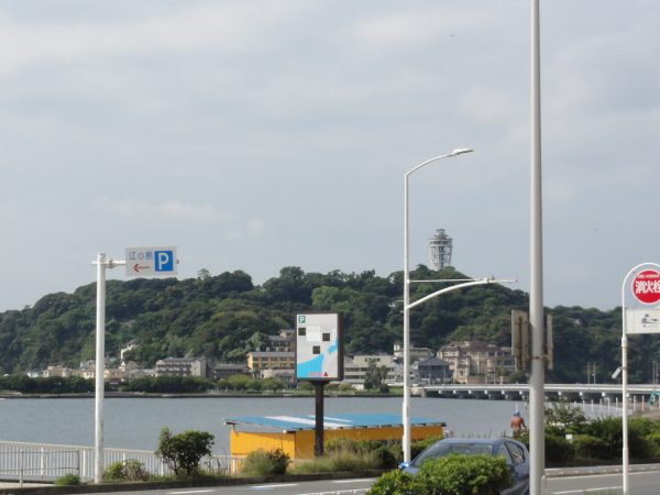 蒸してます。