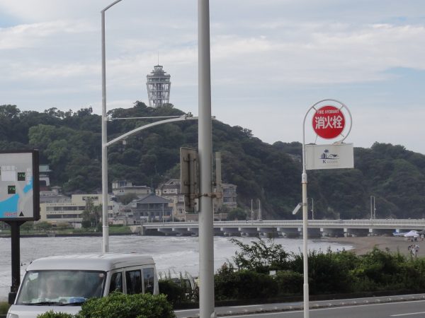 朝から少し荒れています。