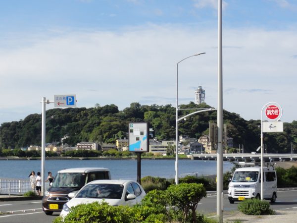 暑くなってきました。