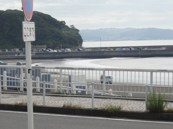 晴れてきた