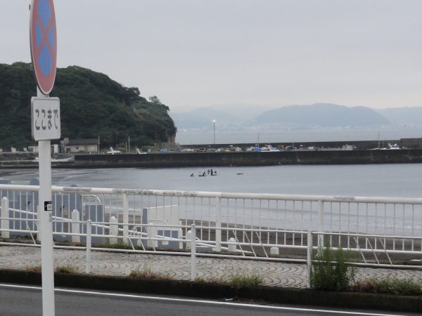 今日は雨