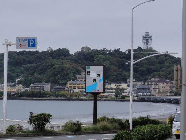 秋になりました。