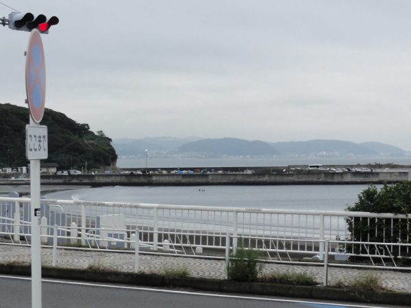 秋になりました。