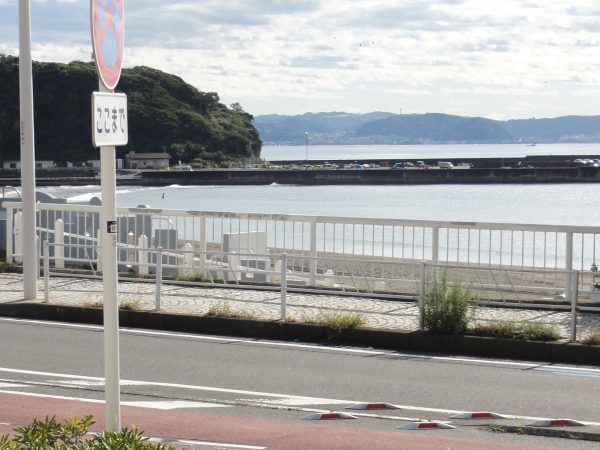 やっと晴れてきました