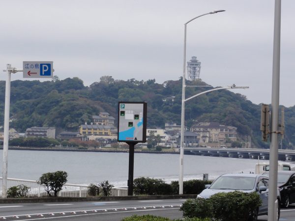 今日は初冬ですね。