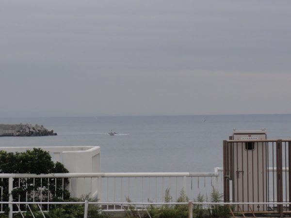 今日は初冬ですね。