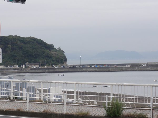 今日は初冬ですね。