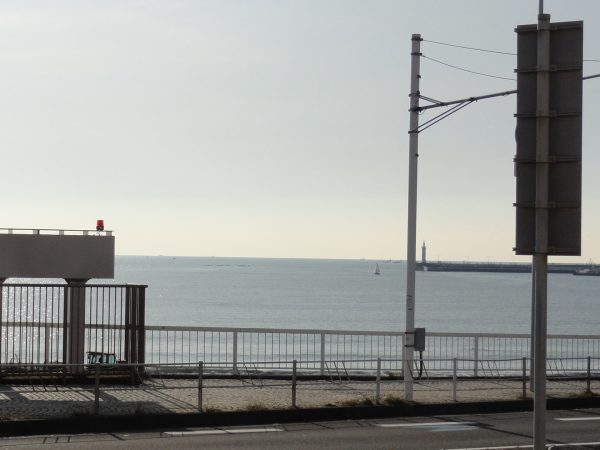 紅葉でも見に行きたい