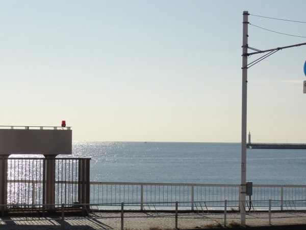 黄砂が来るかも