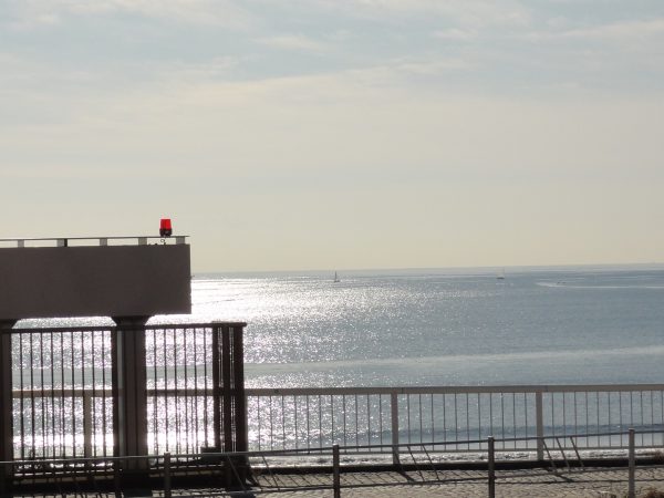 朝は冷え込んできました。