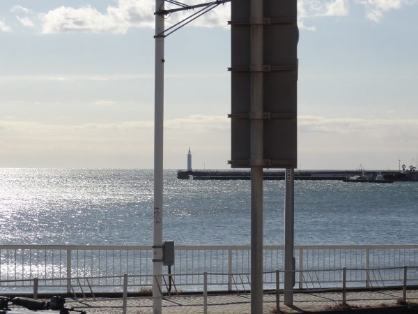 吹いているし冷え込んでる