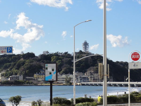 晴れてきました。