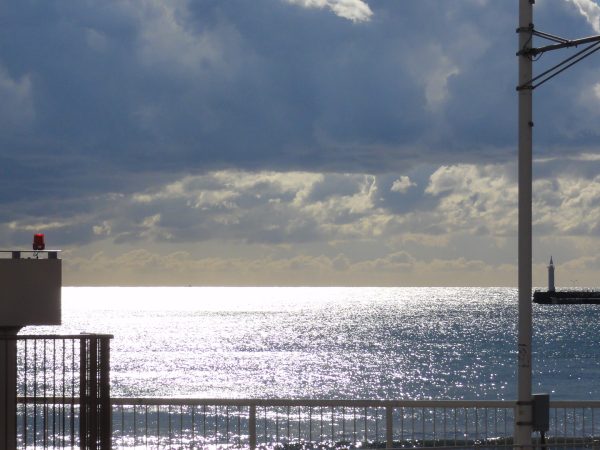 晴れてきました。