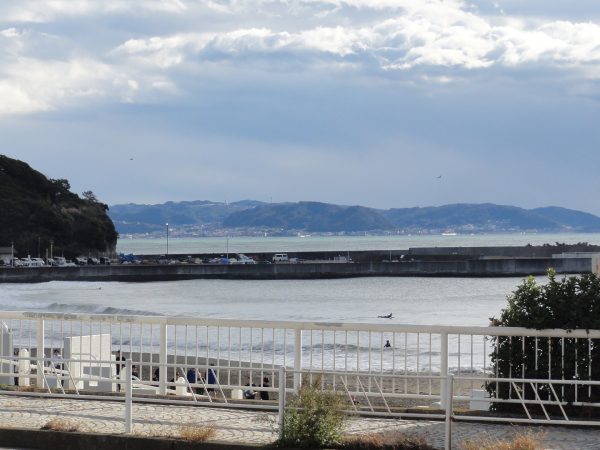 晴れてきました。