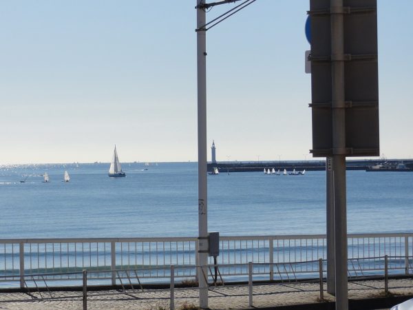 気持ちの良い師走の天気です。