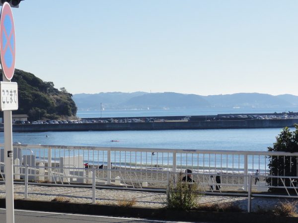 気持ちの良い師走の天気です。