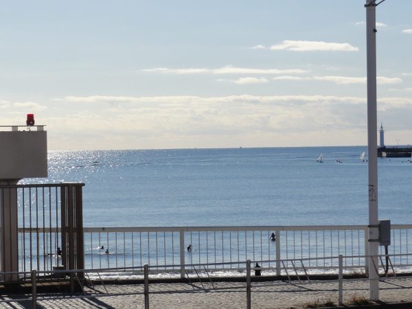 年が明けてからは良い天気