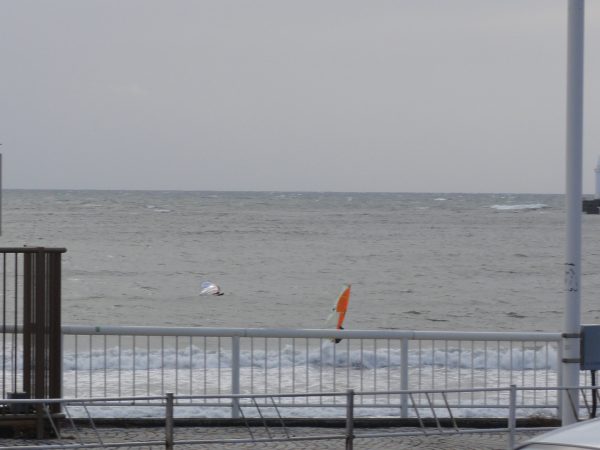 今日も朝から吹いてます