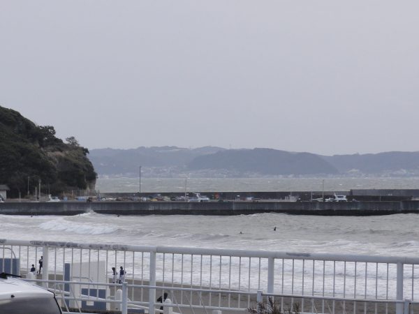 今日も朝から吹いてます