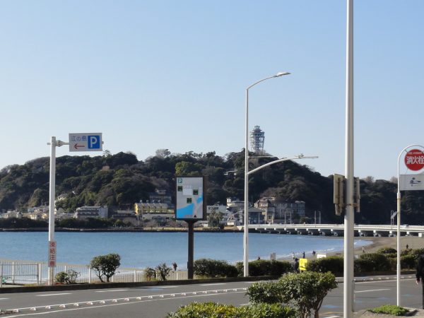 今日は冷え込んでました。