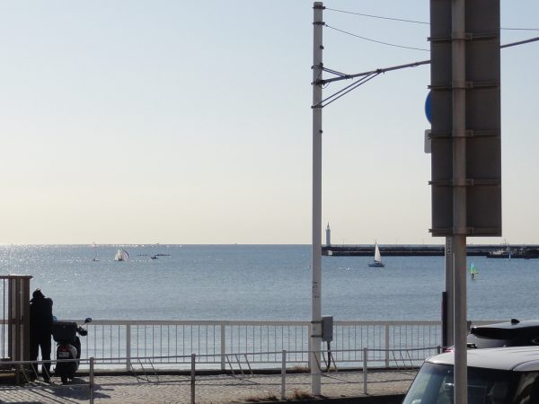 今日は冷え込んでました。