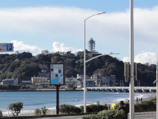 藤沢市民マラソン