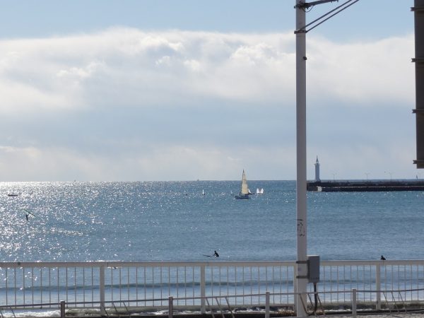 藤沢市民マラソン