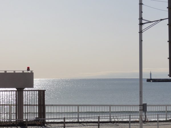 今日も冷えてる