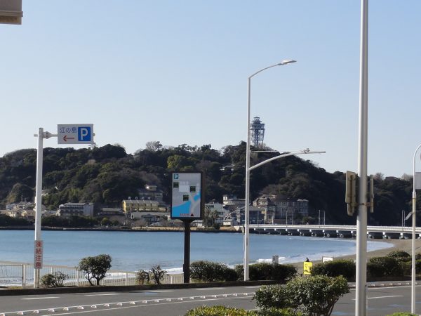 今日も冷えてる