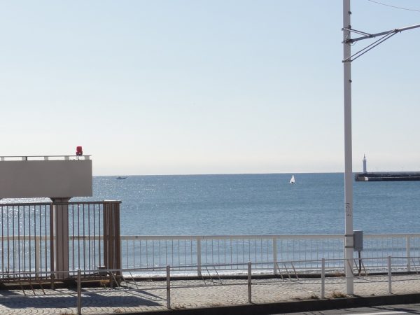 冷え込んでます。