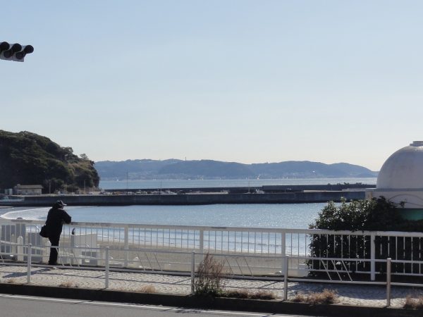 冷え込んでます。