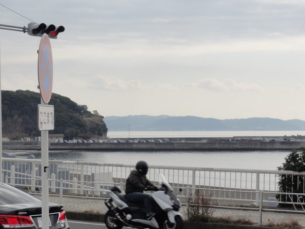 春一番は来るかな