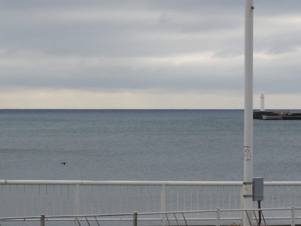 冬らしい雰囲気