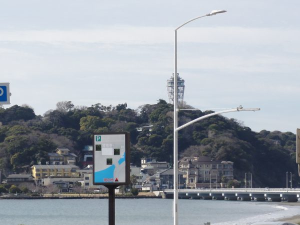 春めいてきました