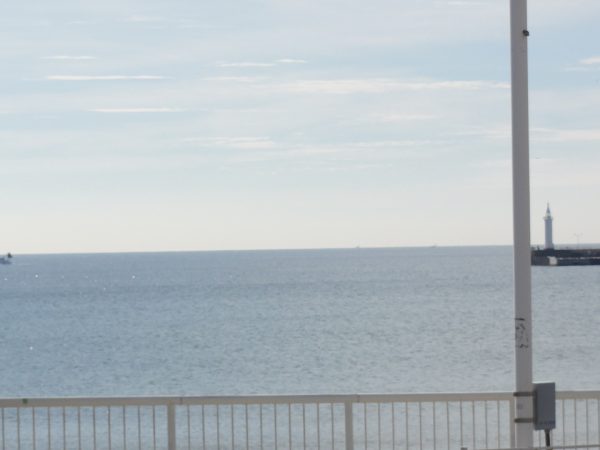 春めいてきました