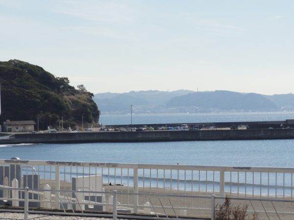 春めいてきました