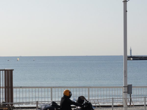 今日も天気で花粉がやばい