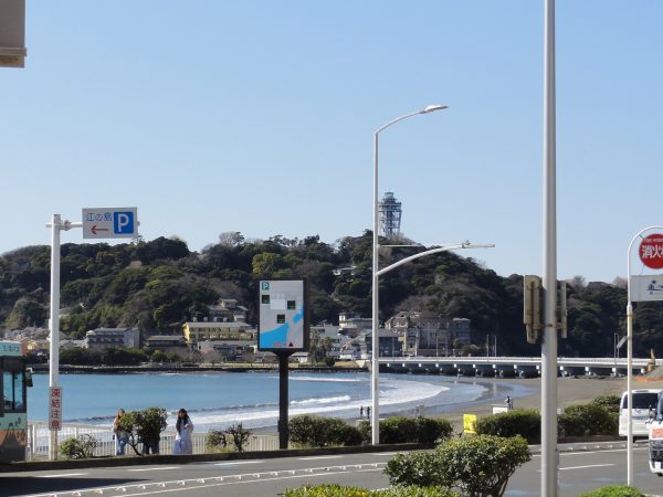 春めいています