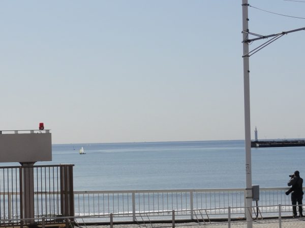 春めいています