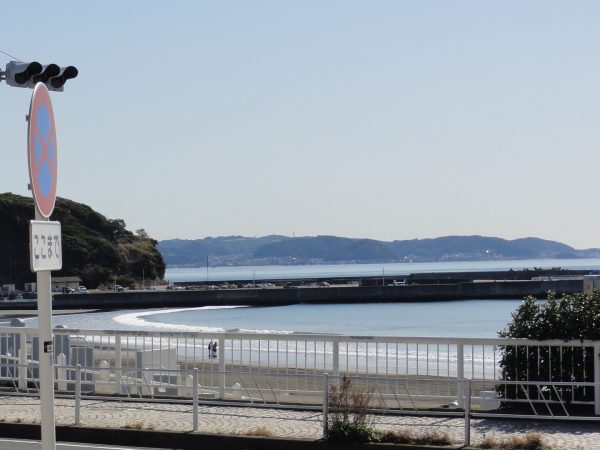 春めいています