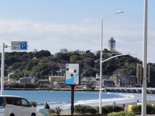 日替わりですが春の陽気