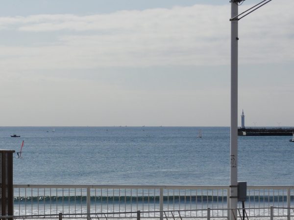 日替わりですが春の陽気