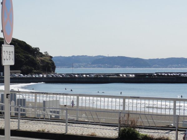 日替わりですが春の陽気