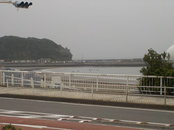 今日はジットリ。
